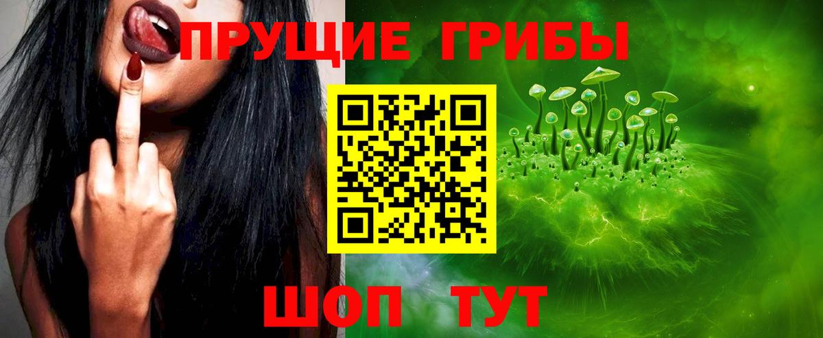 Галлюциногенные грибы Psilocybe  Галлюциногенные грибы GOLDEN TEACHER  Вход с VPN  Минусинск 