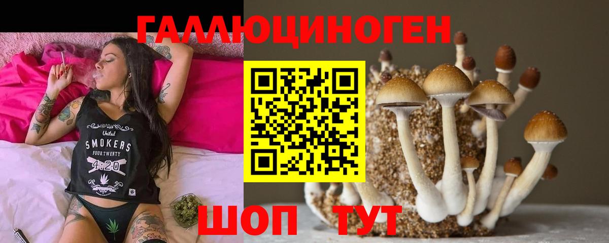 Галлюциногенные грибы Magic Shrooms Минусинск